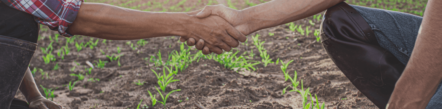 Presencia Global — Innovak