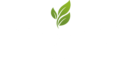 PFenergy — La evolución en bioestimulación
