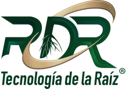 RDR