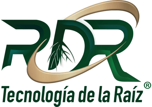 RDR — Tecnología de la Raíz
