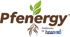 Tecnología PFenergy — Innovak Global